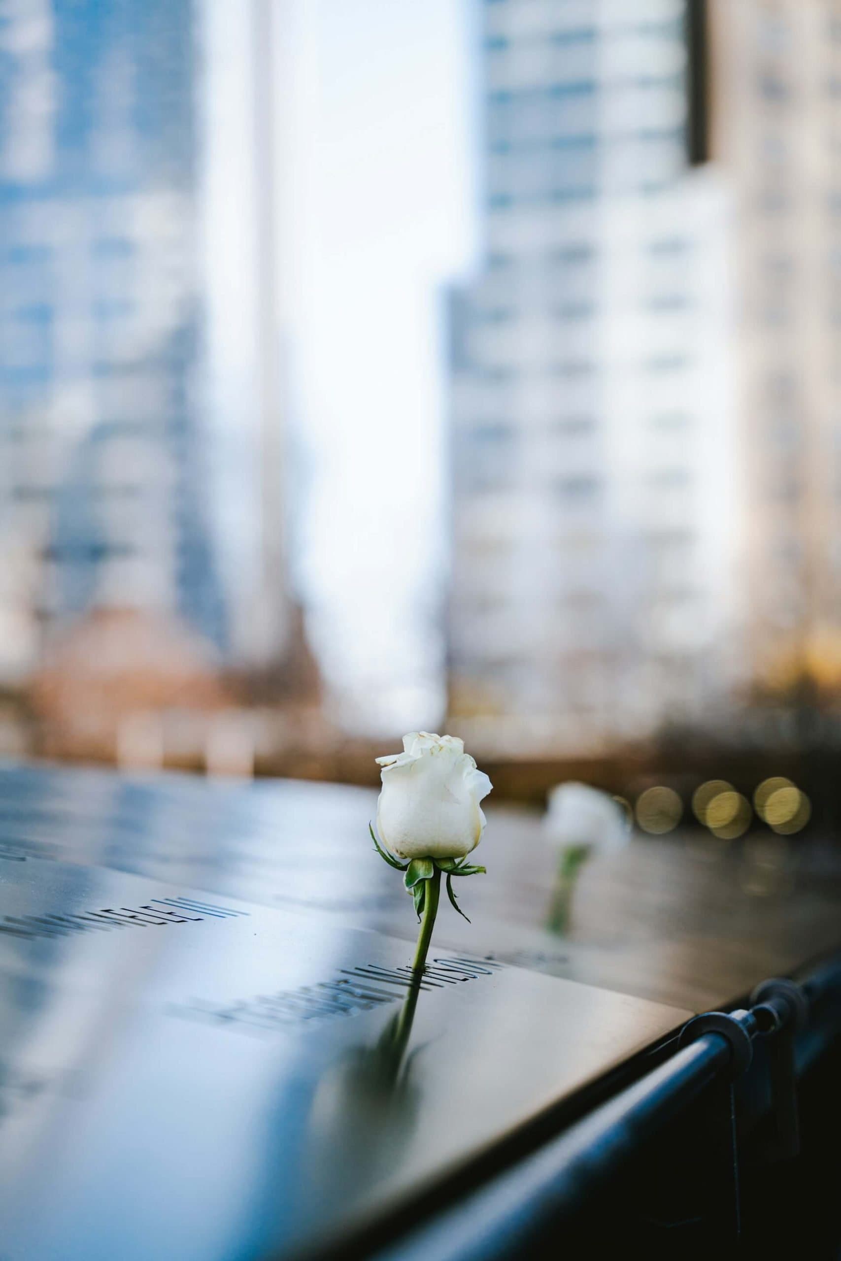 Wrongful Death